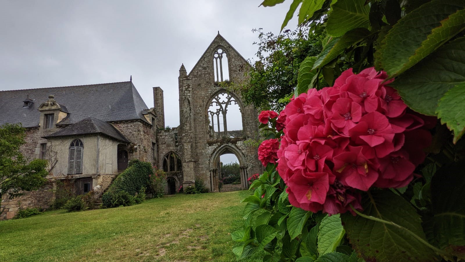 WhatsApp Image 2021-08-10 at 21.25.57