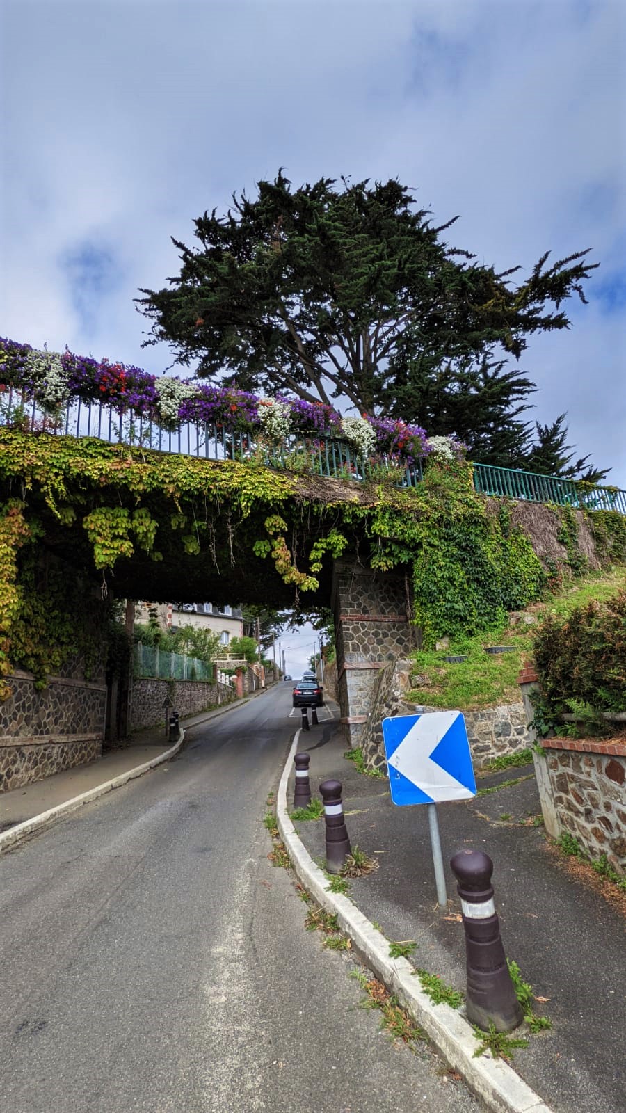 WhatsApp Image 2021-08-10 at 21.26.00 (2)