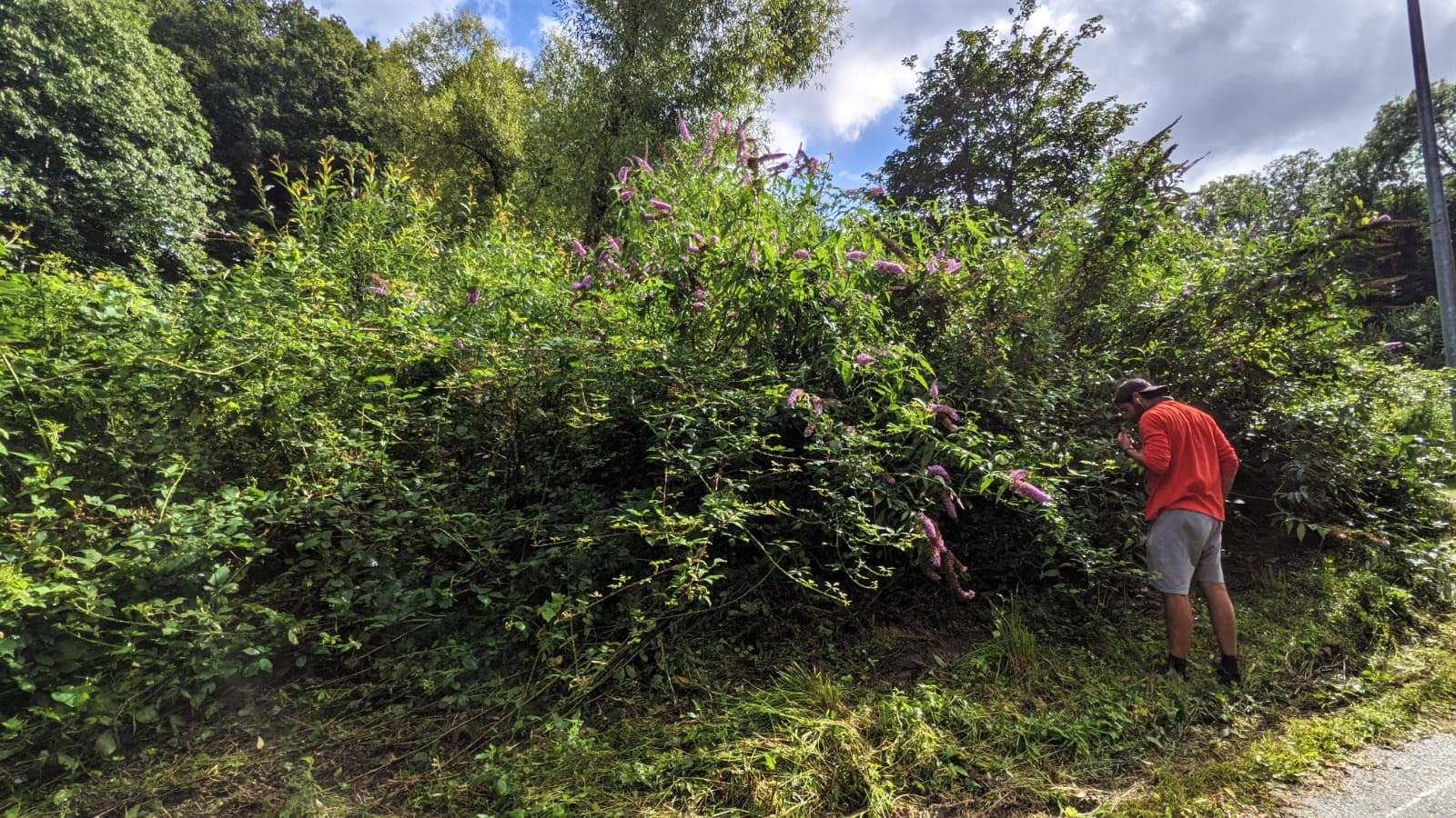 WhatsApp Image 2021-08-10 at 23.04.01 (2)