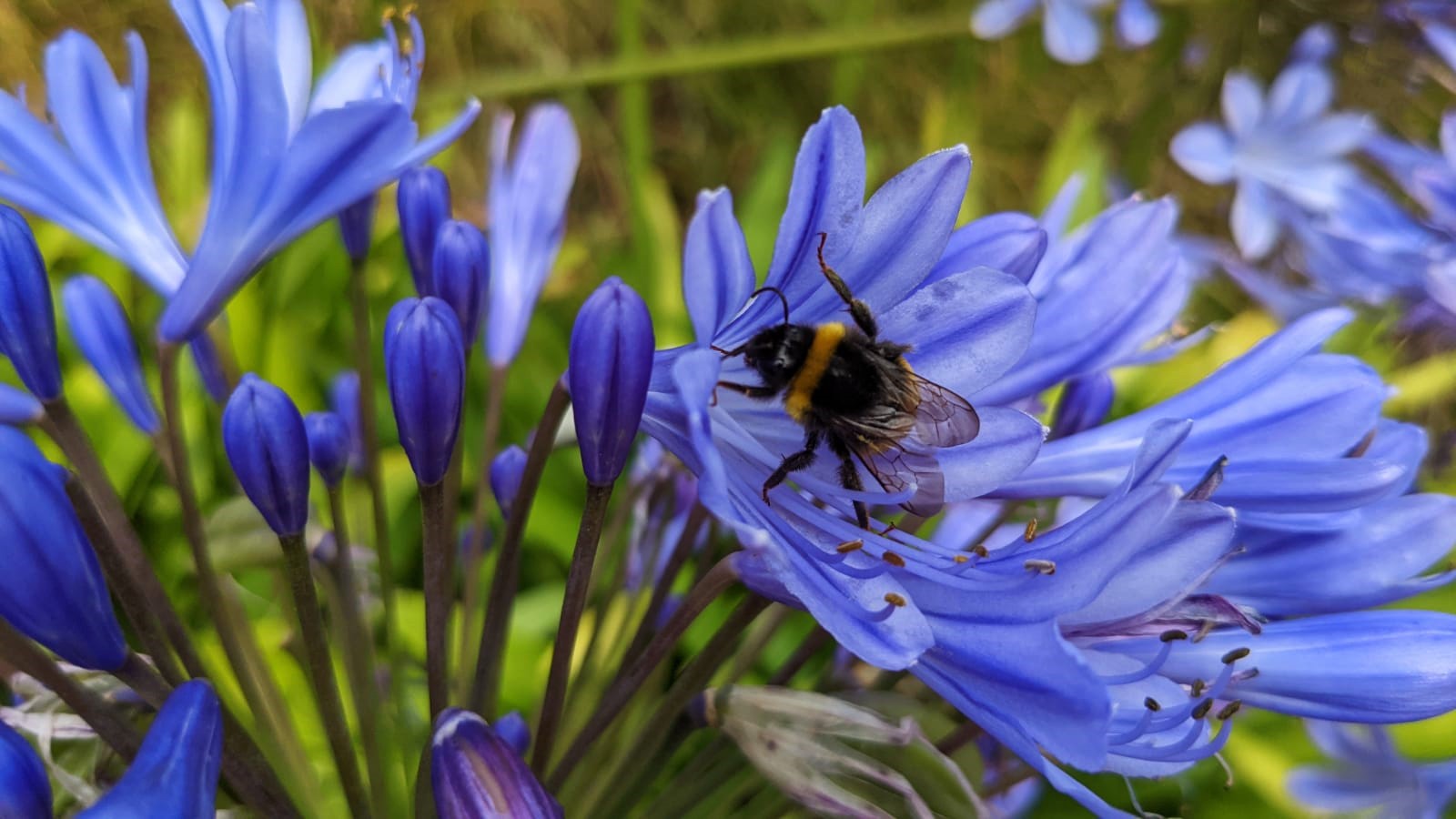 WhatsApp Image 2021-08-10 at 23.13.22 (5)