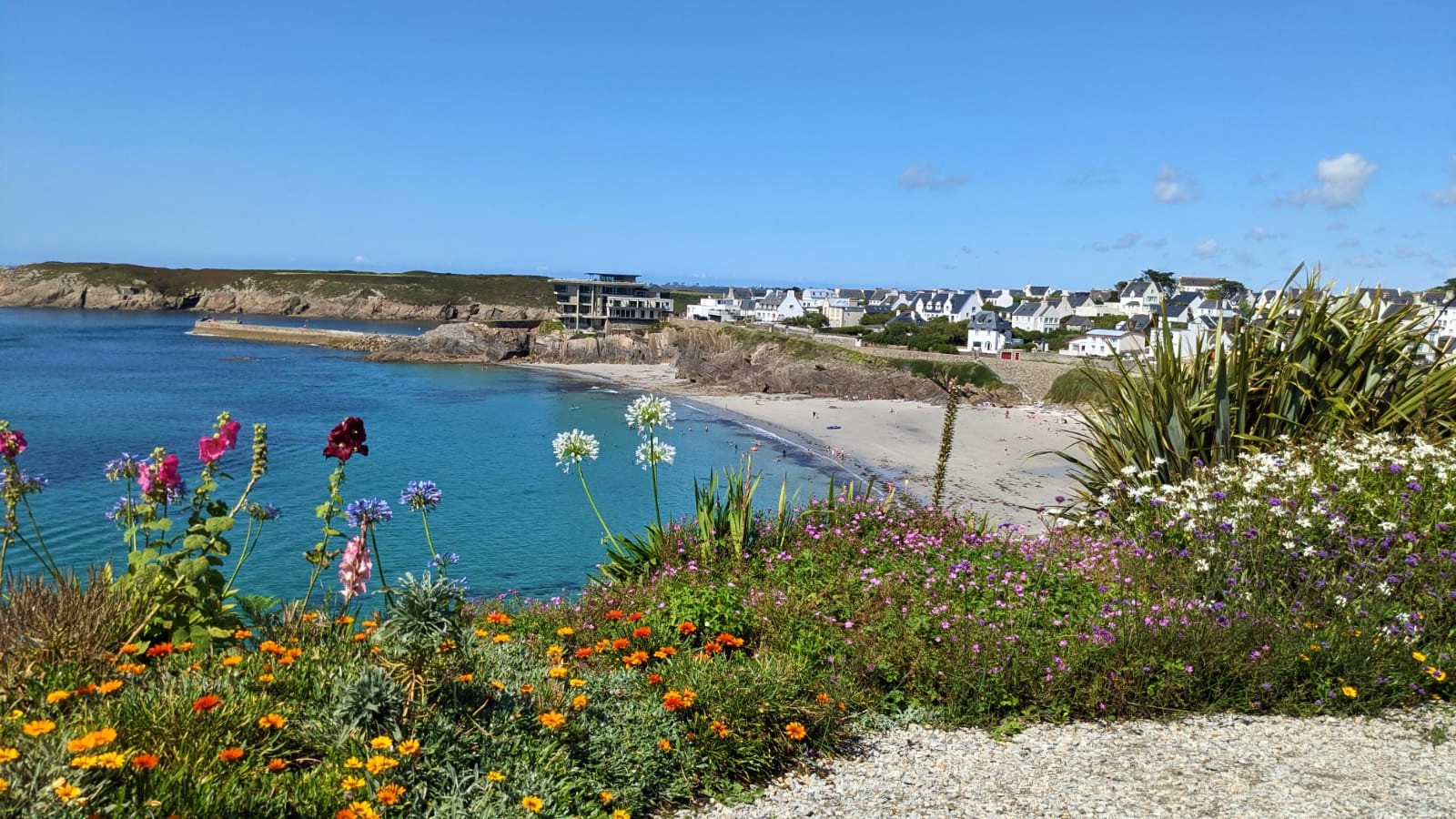 WhatsApp Image 2021-08-10 at 23.15.32