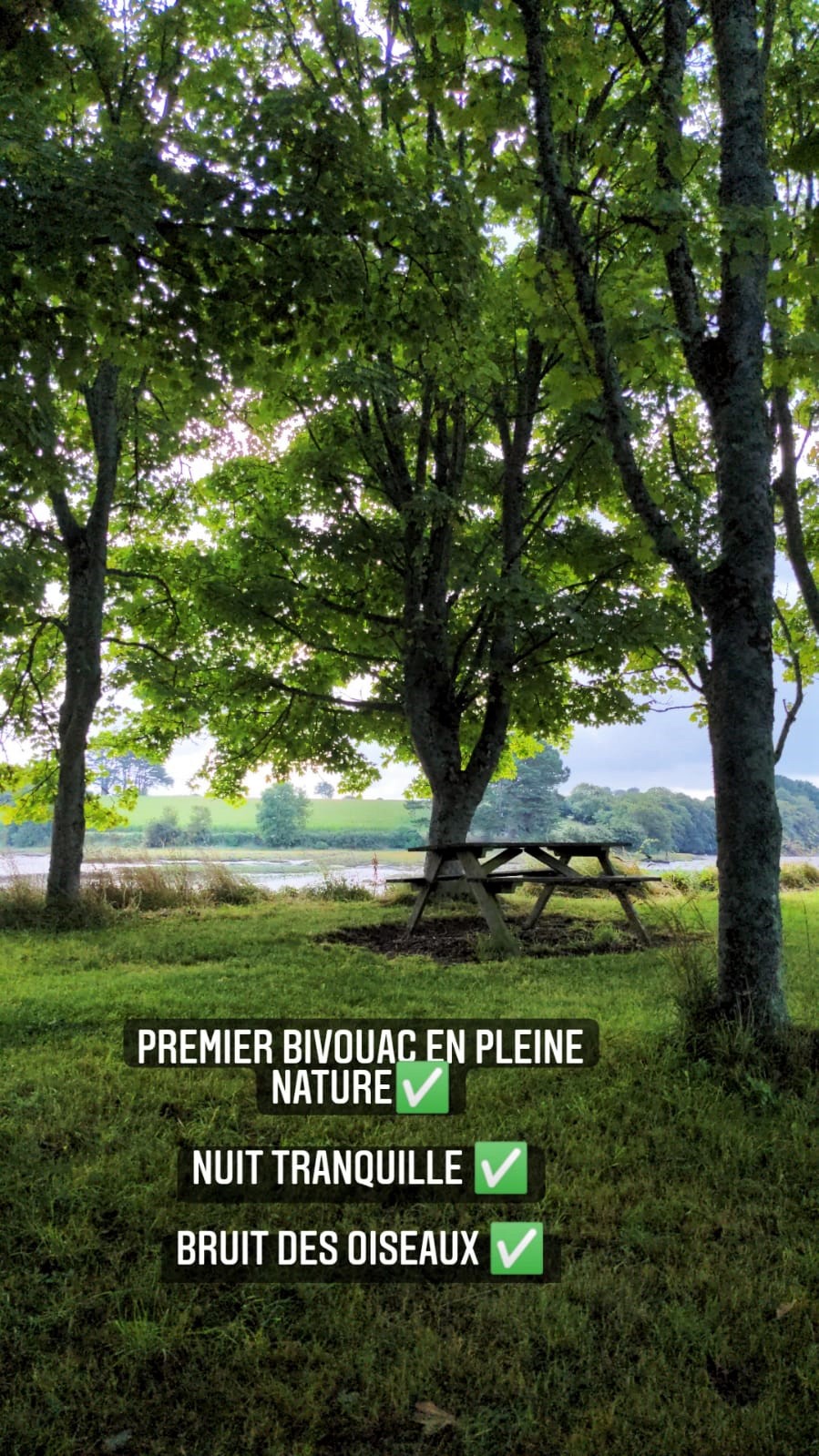 WhatsApp Image 2021-08-10 at 23.16.05