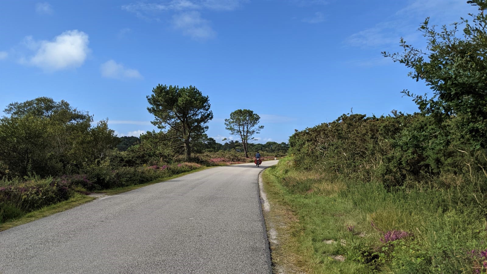 WhatsApp Image 2021-08-16 at 09.07.53