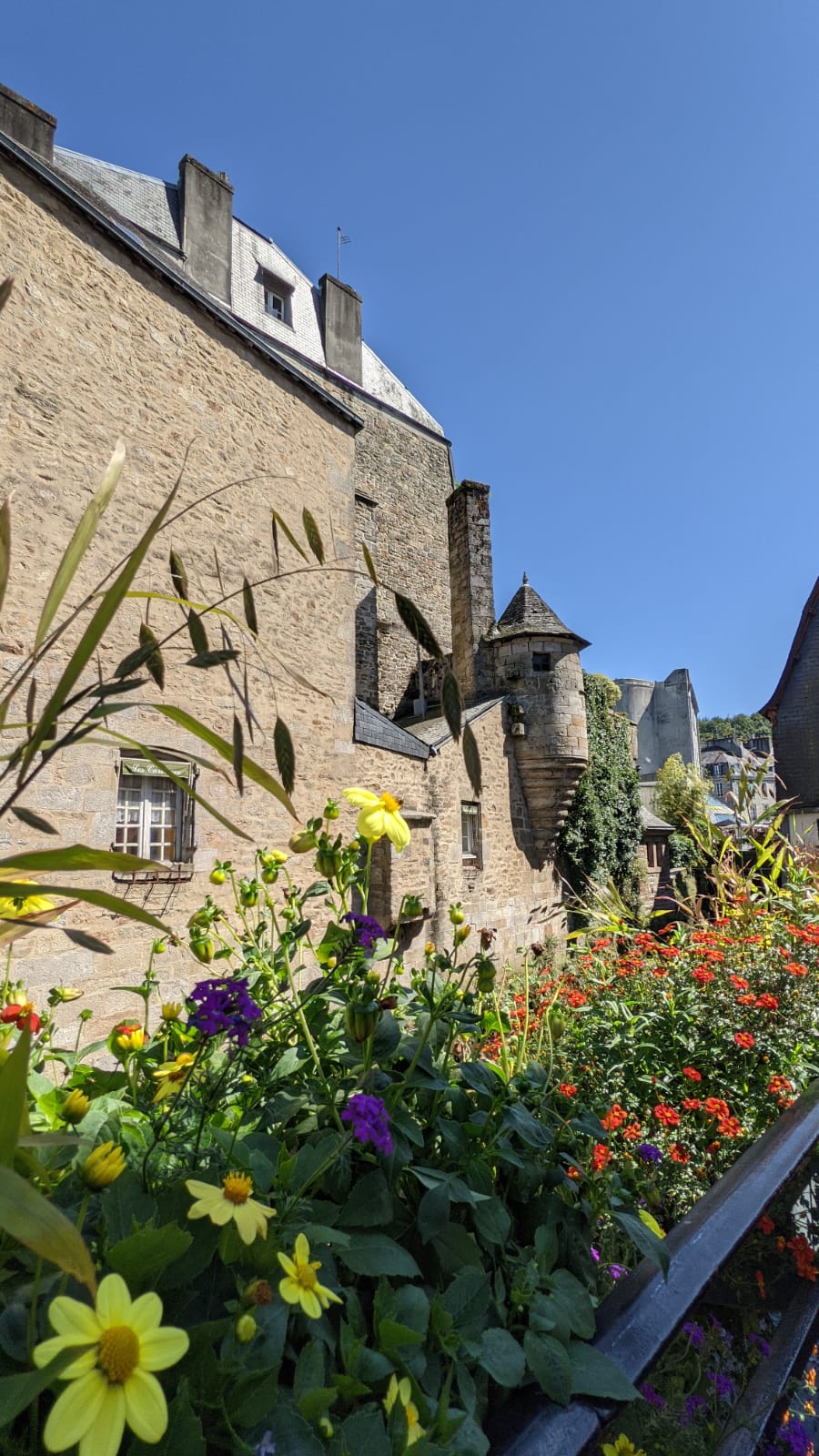 WhatsApp Image 2021-08-16 at 09.17.21 (5)