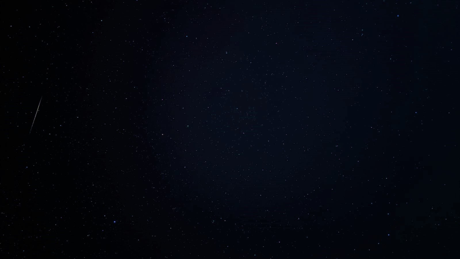 WhatsApp Image 2021-08-17 at 16.48.35