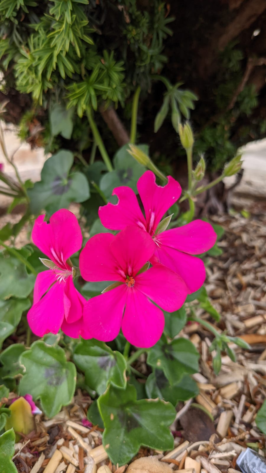 WhatsApp Image 2021-08-19 at 21.07.33 (3)