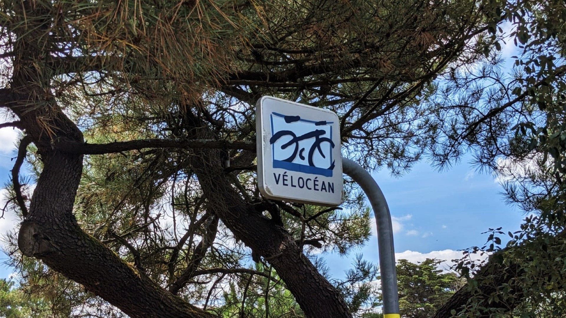 WhatsApp Image 2021-08-22 at 07.48.24 (Grand)