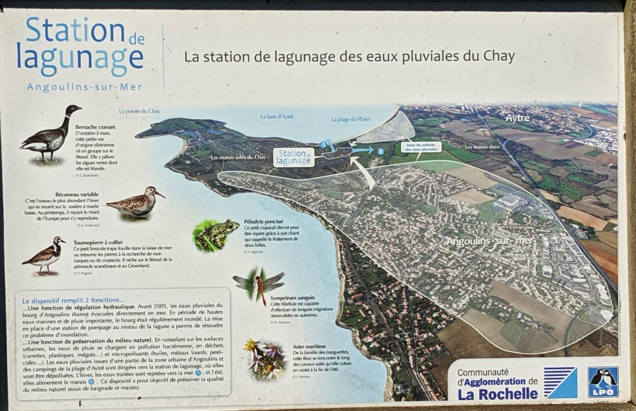 WhatsApp Image 2021-08-27 at 13.27.52 (4)