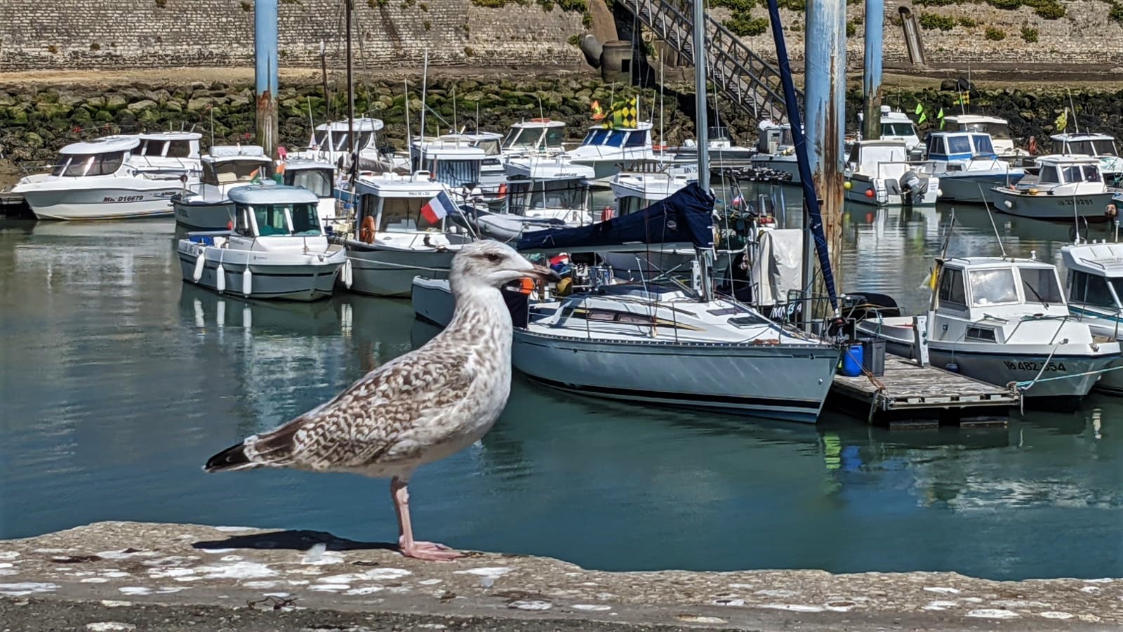 WhatsApp Image 2021-08-27 at 13.33.25