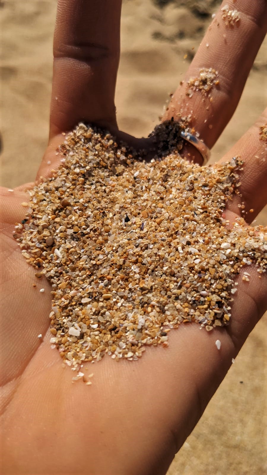 WhatsApp Image 2021-08-27 at 13.33.27 (1)