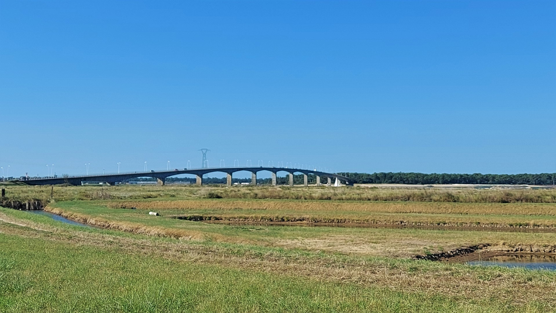 20210828_103815 (Grand)