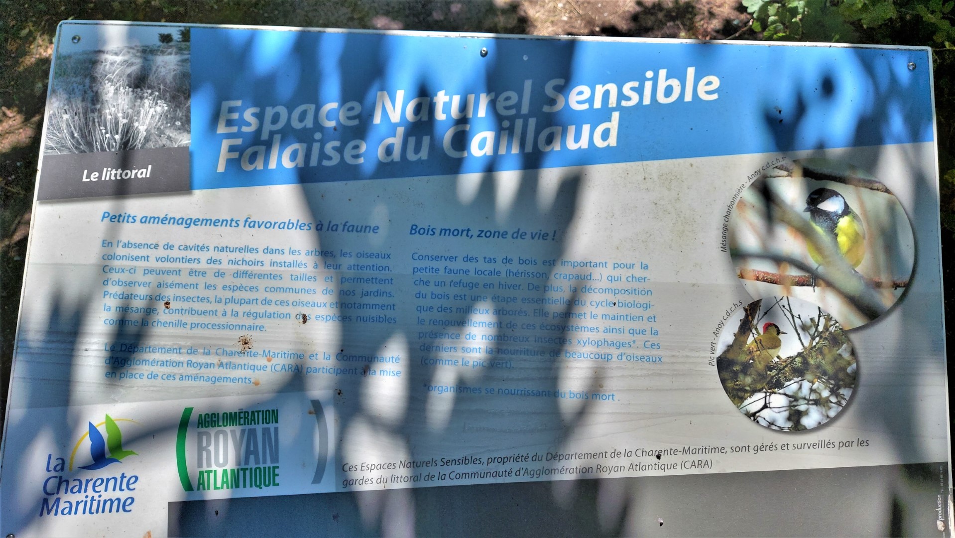 20210828_150102 (Grand)