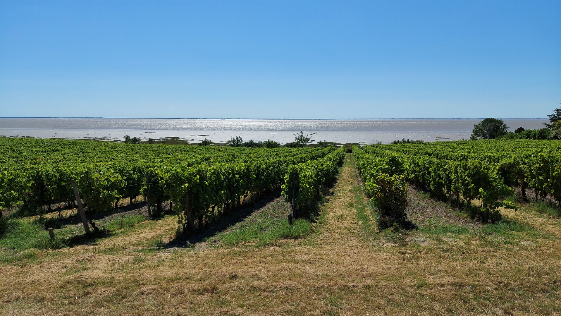 20210828_151419 (Grand)