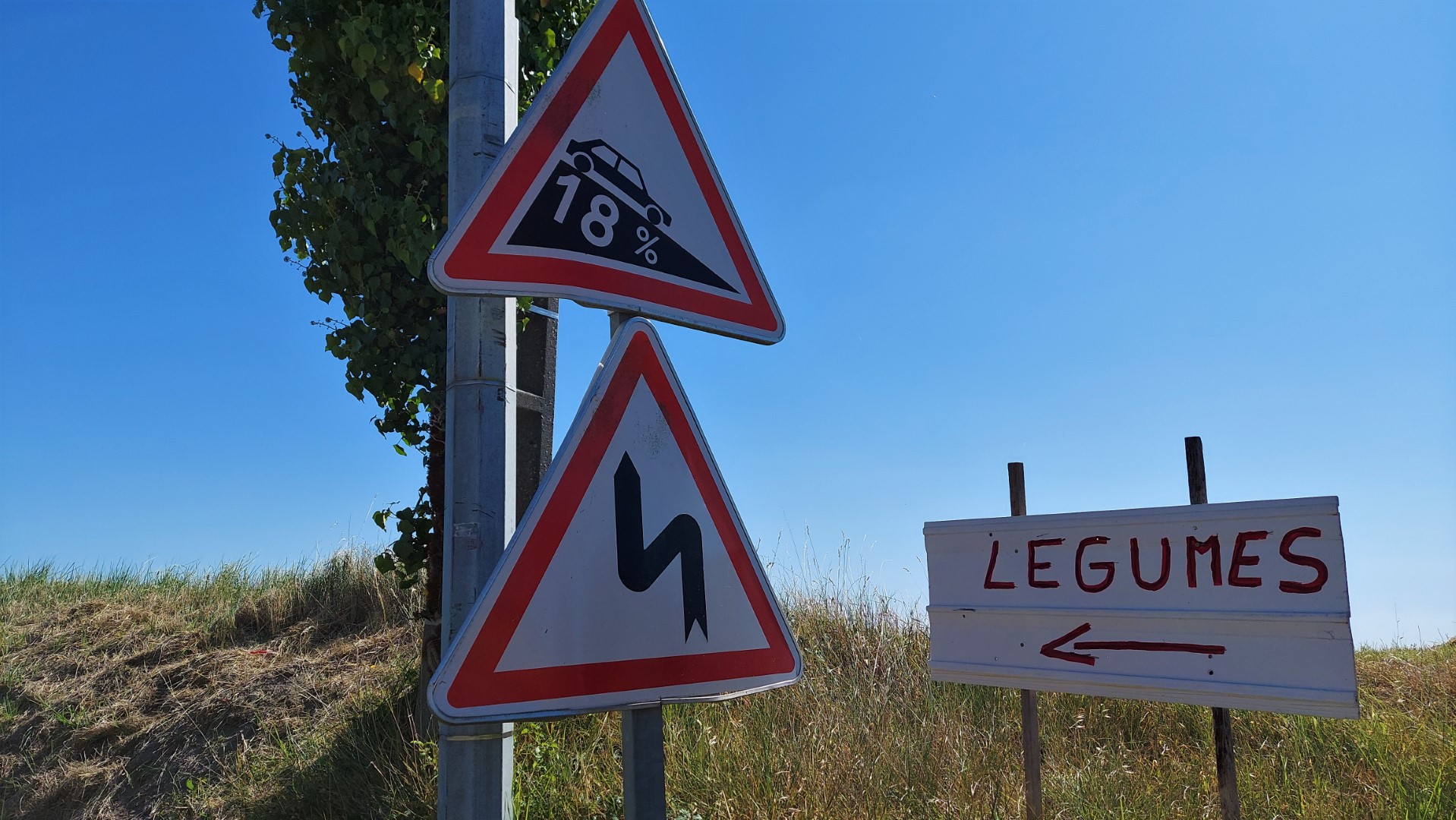 20210828_162429 (Grand)