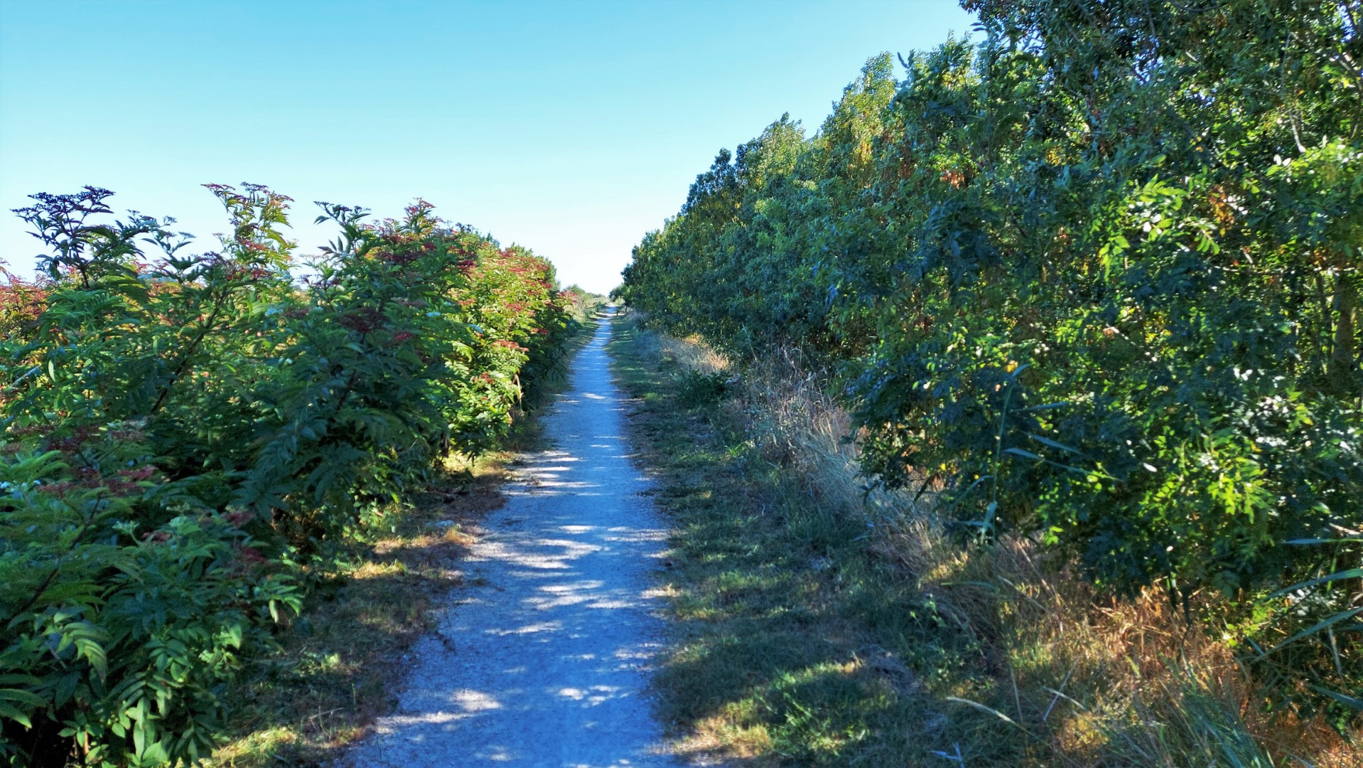 20210828_175817 (Grand)