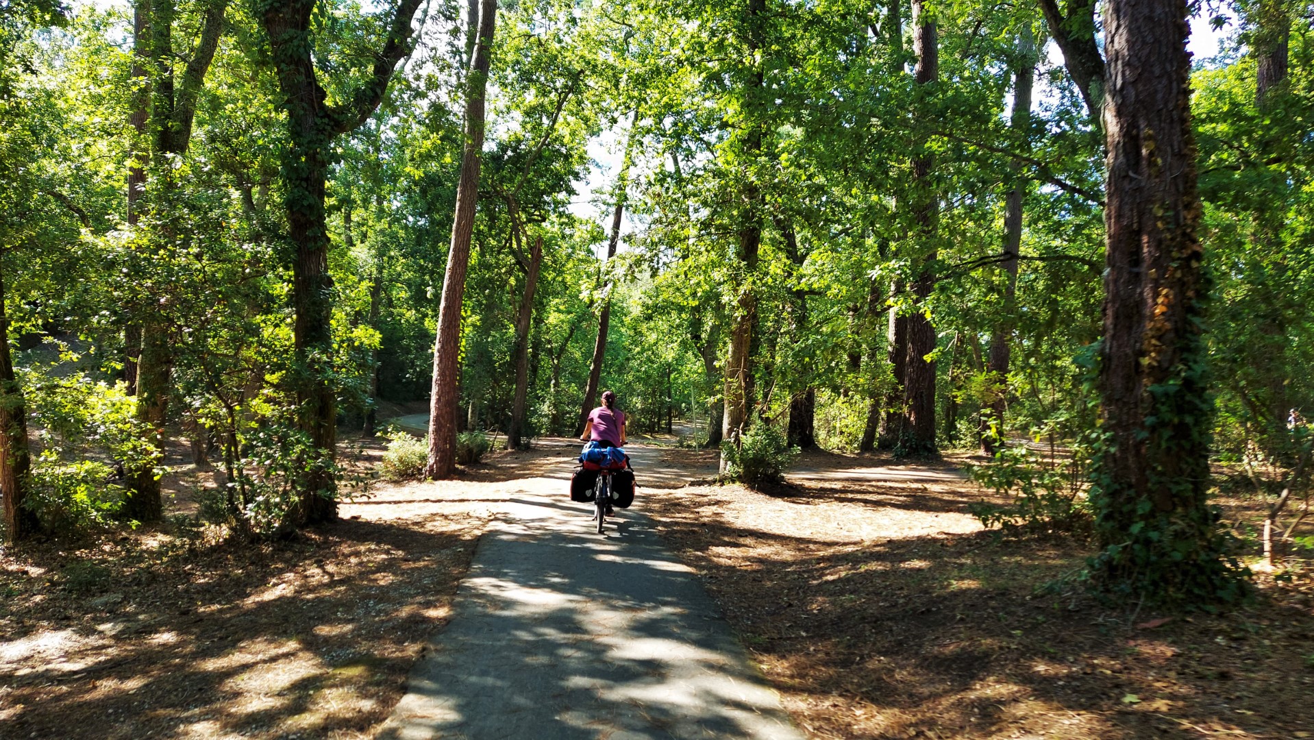 20210830_172023 (Grand)