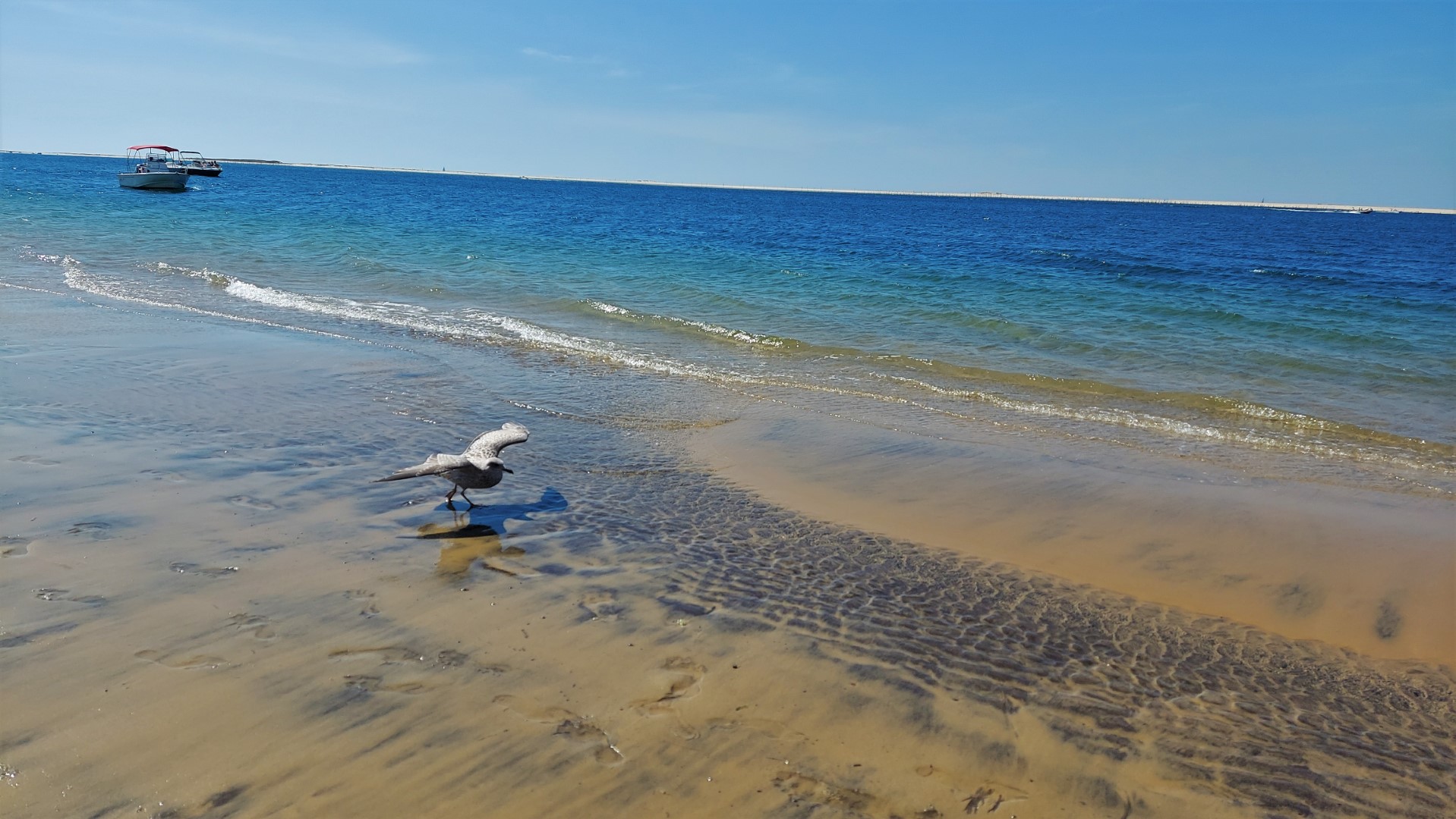 20210831_151329 (Grand)