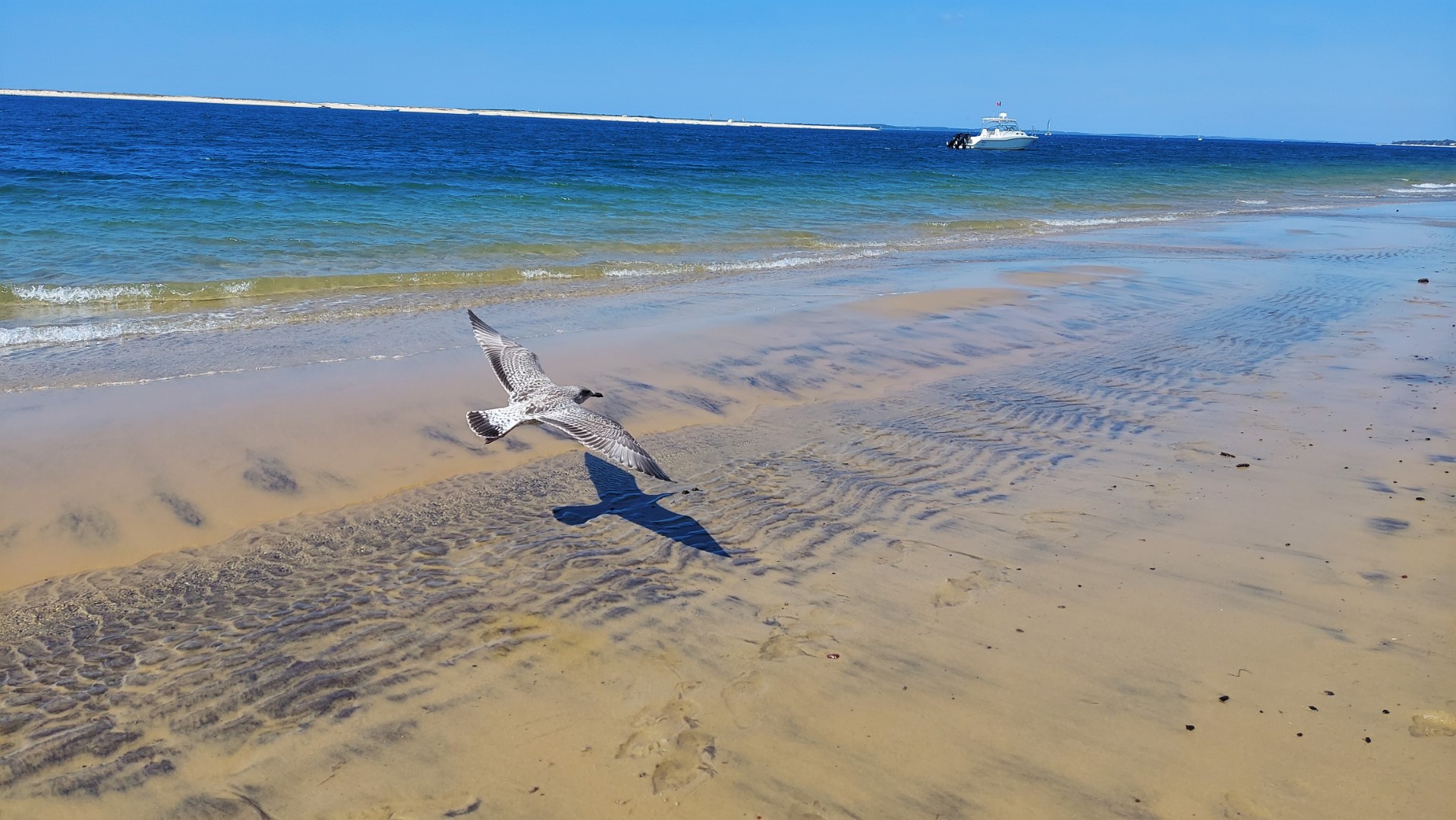 20210831_151331 (Grand)