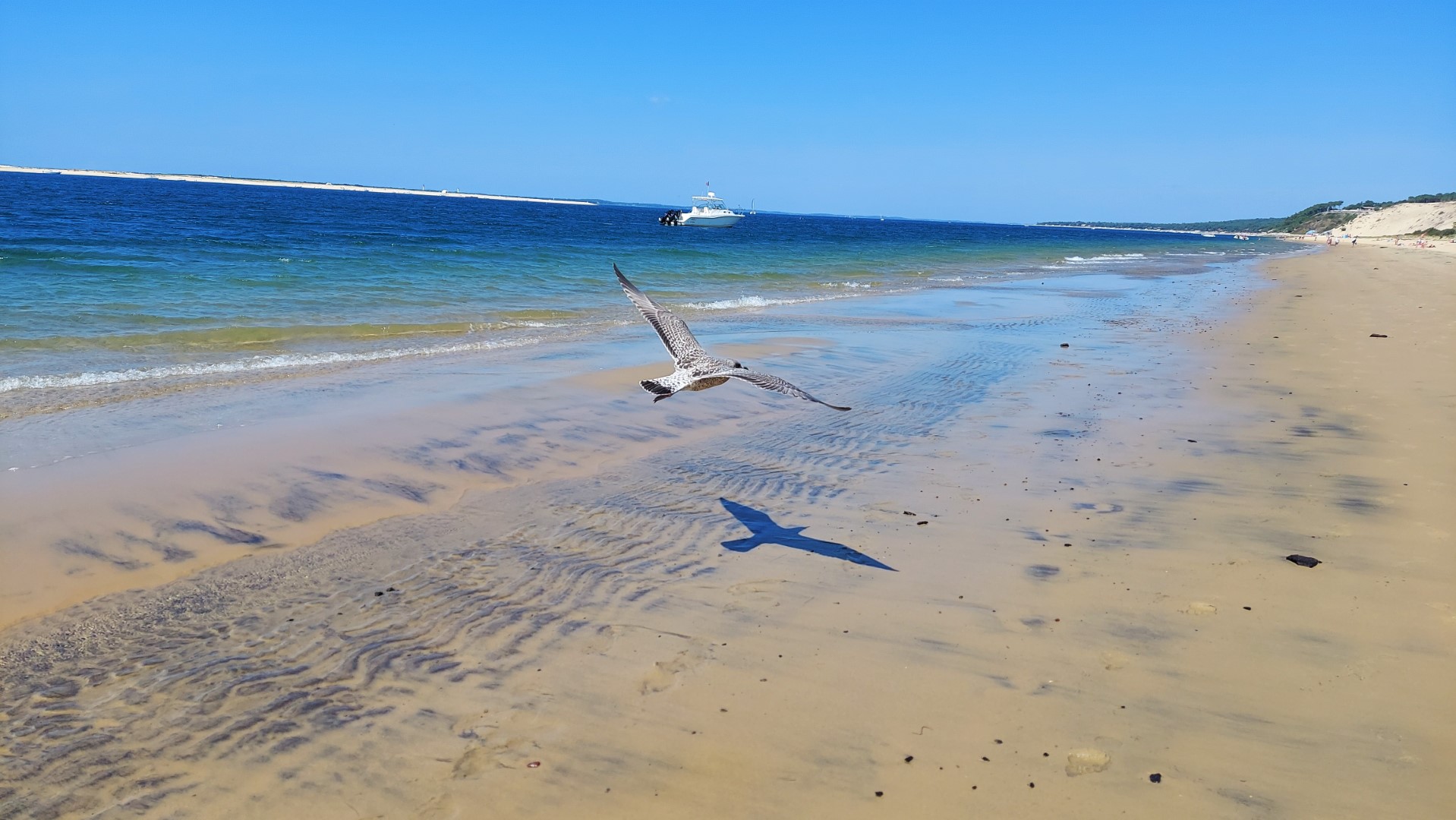 20210831_151332 (Grand)