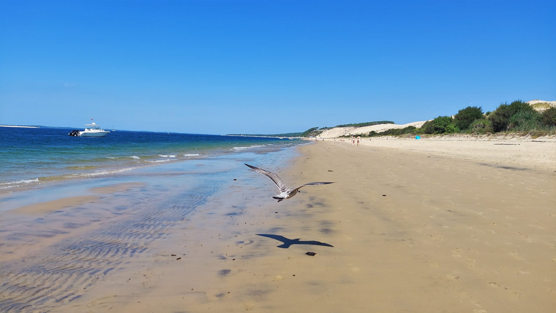 20210831_151332(0) (Grand)