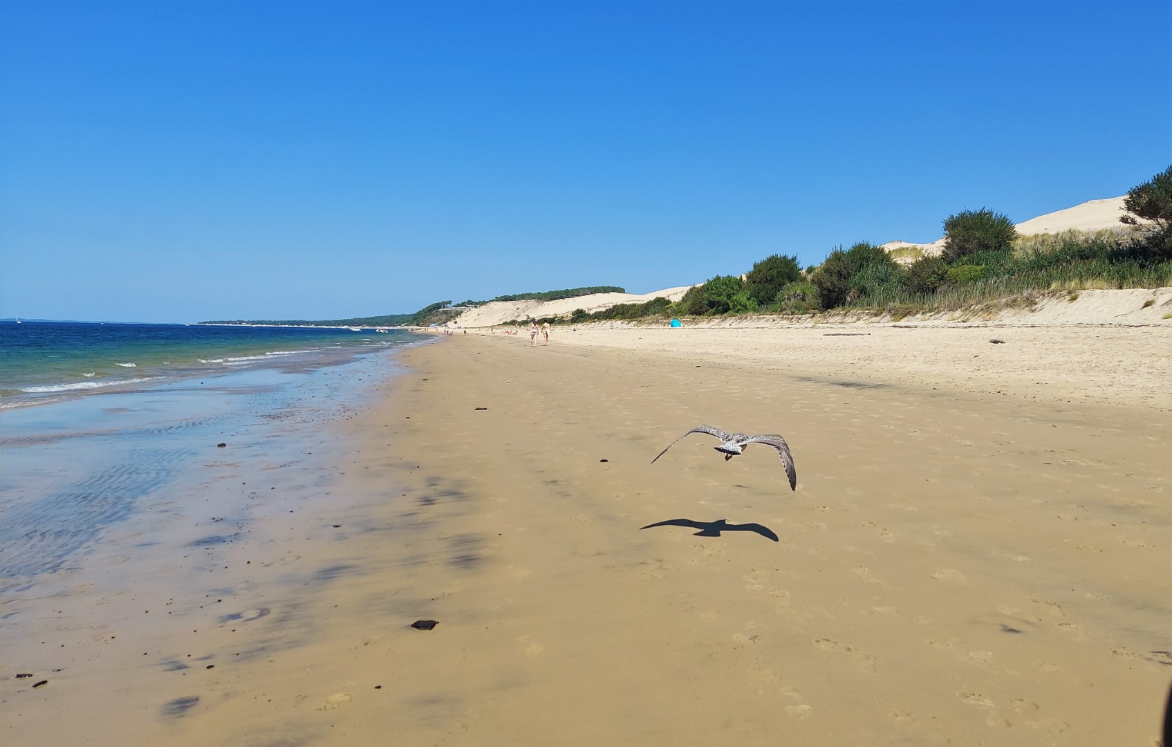 20210831_151333 (Grand)