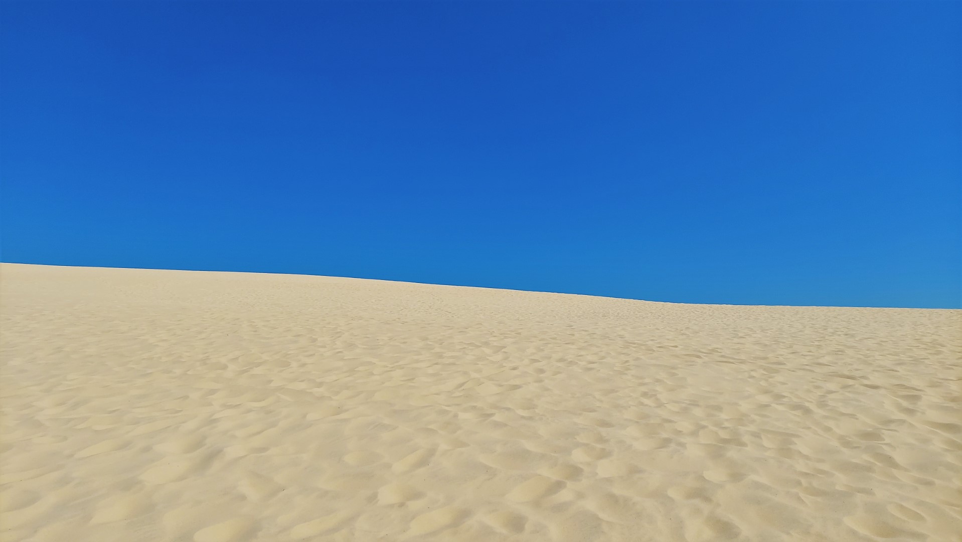 20210831_153325 (Grand)