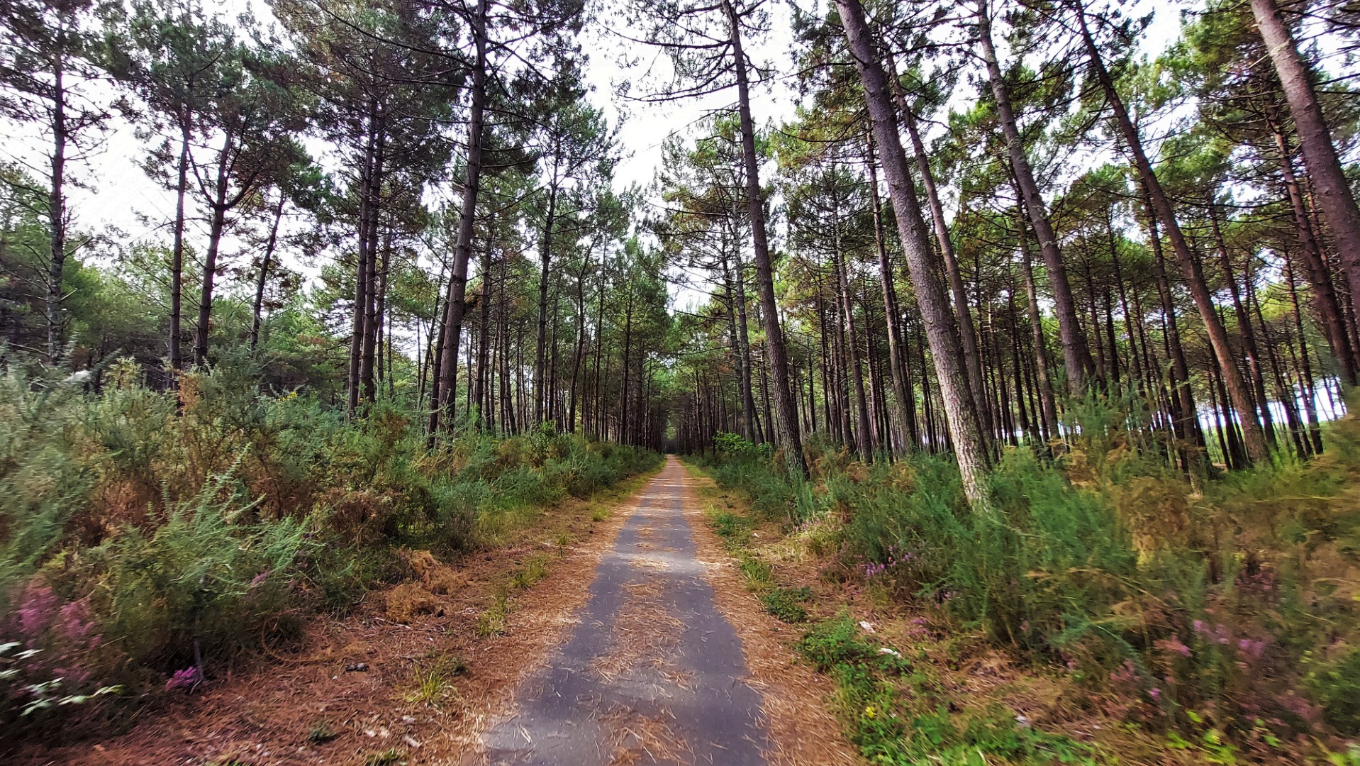 20210901_103520 (Grand)