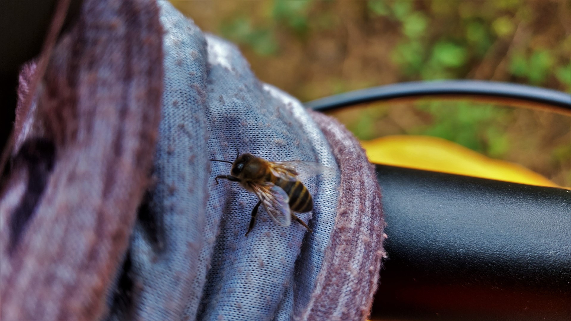 20210901_105030 (Grand)