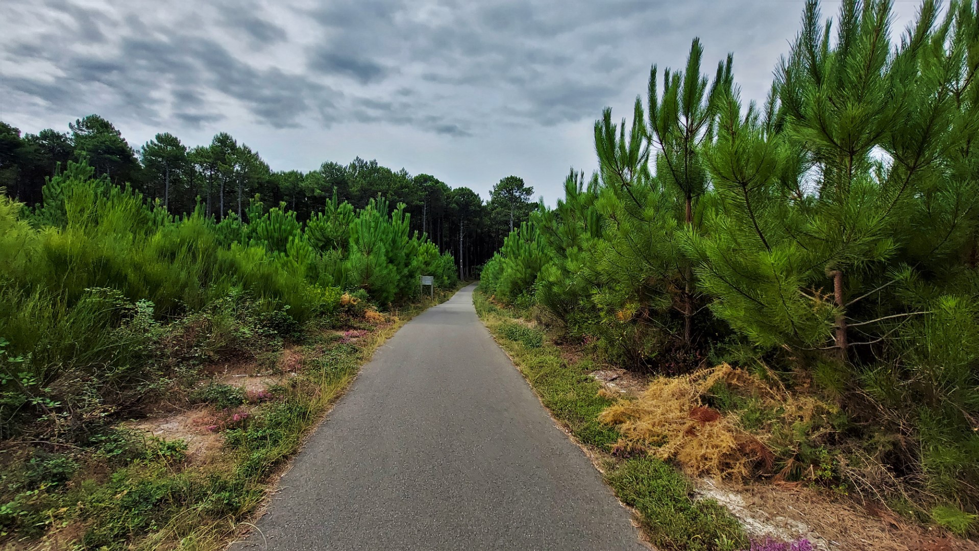 20210901_110055 (Grand)