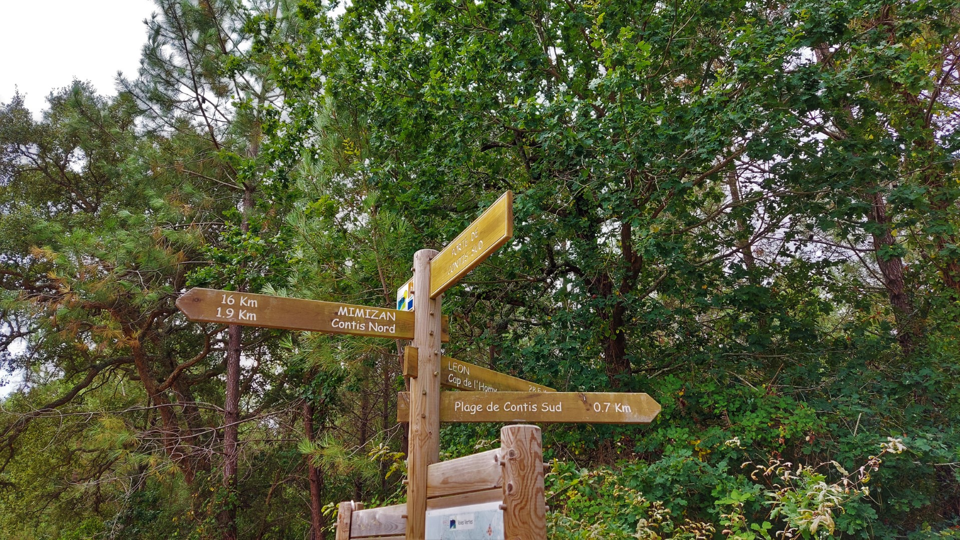 20210901_120628 (Grand)