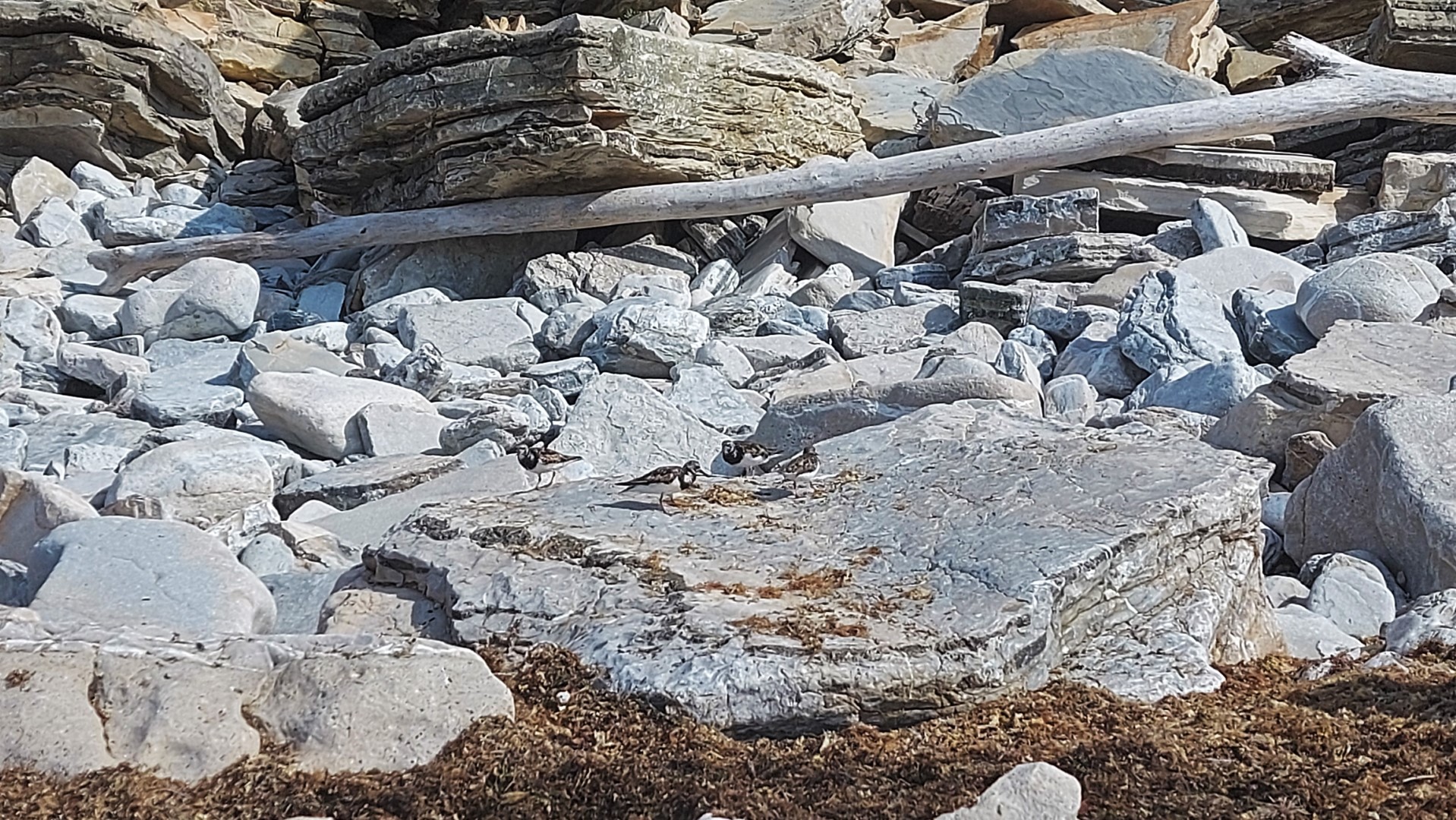 20210902_170619 (Grand)