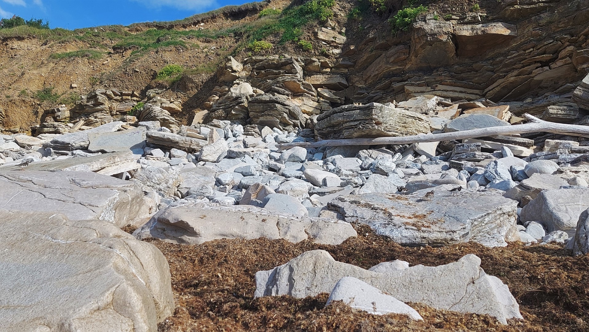 20210902_170623 (Grand)