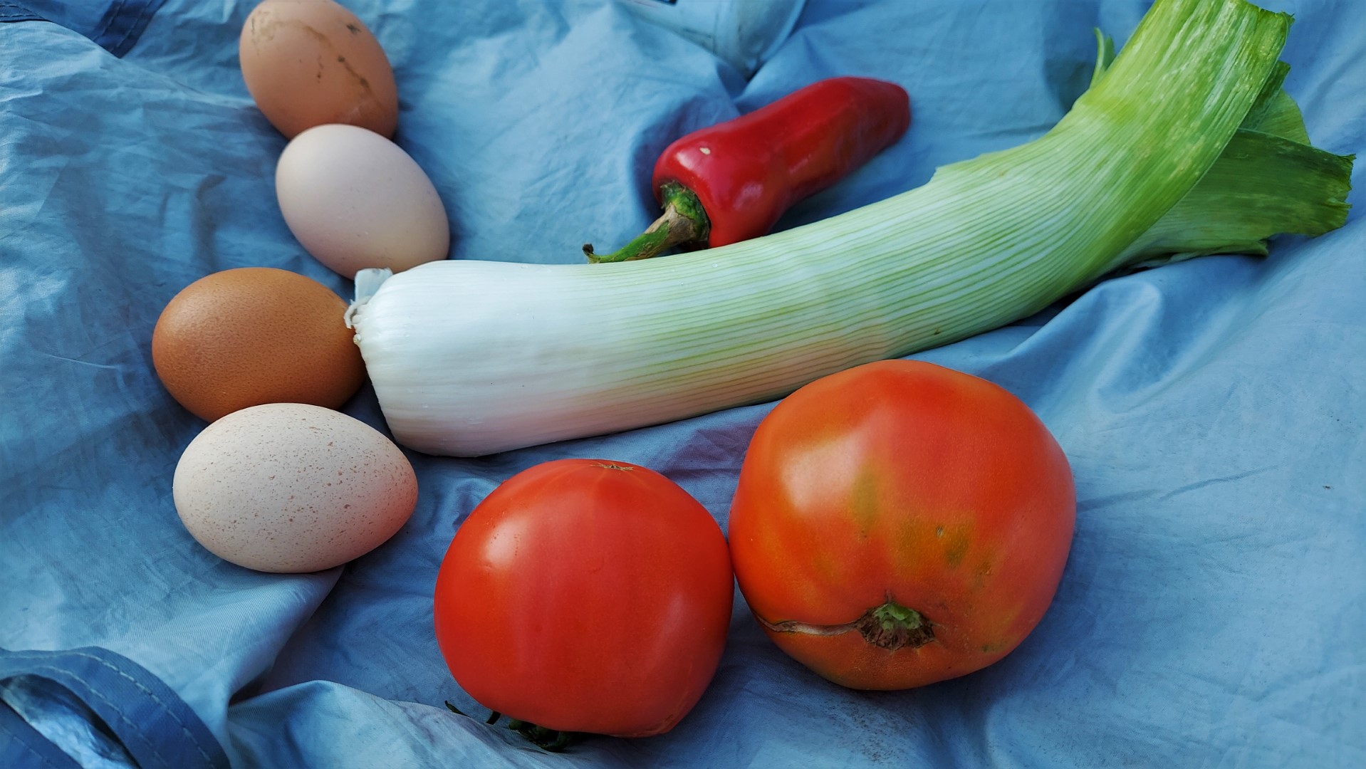 20210904_192123 (Grand)