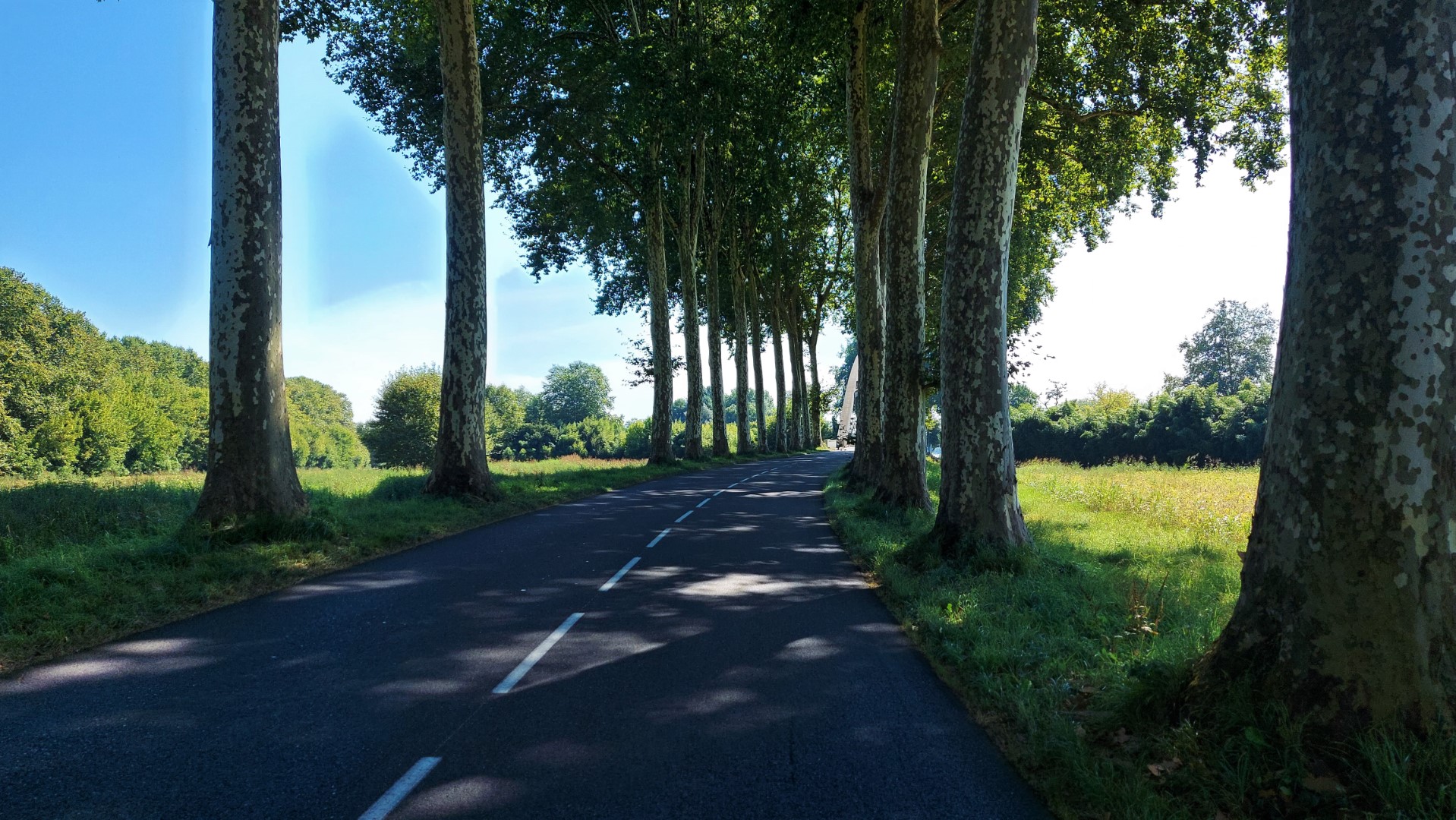 20210905_120439 (Grand)