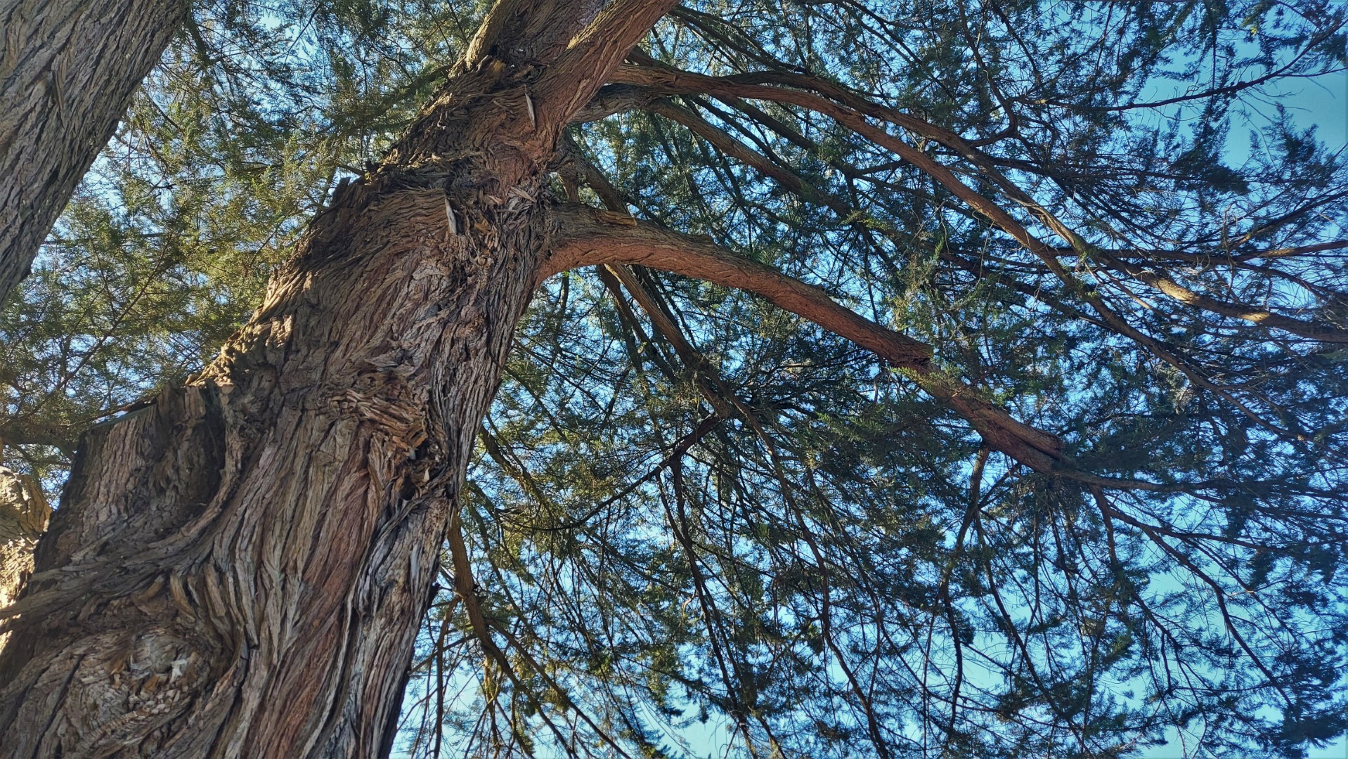 20210906_172839 (Grand)