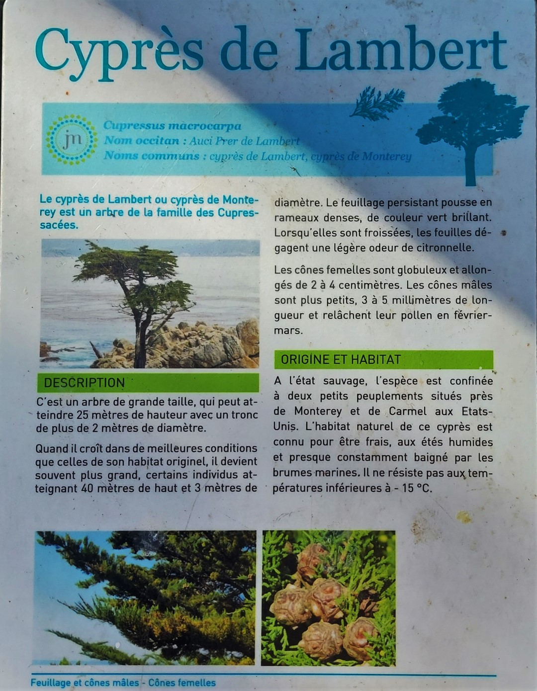 20210906_172842 (Grand)