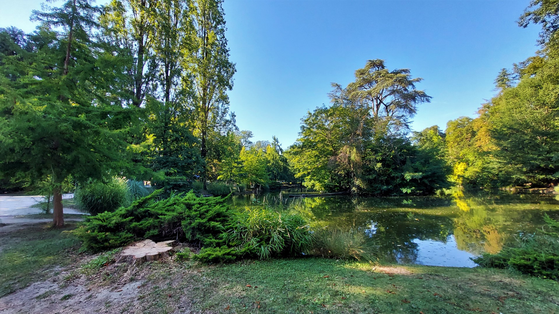 20210906_174740 (Grand)