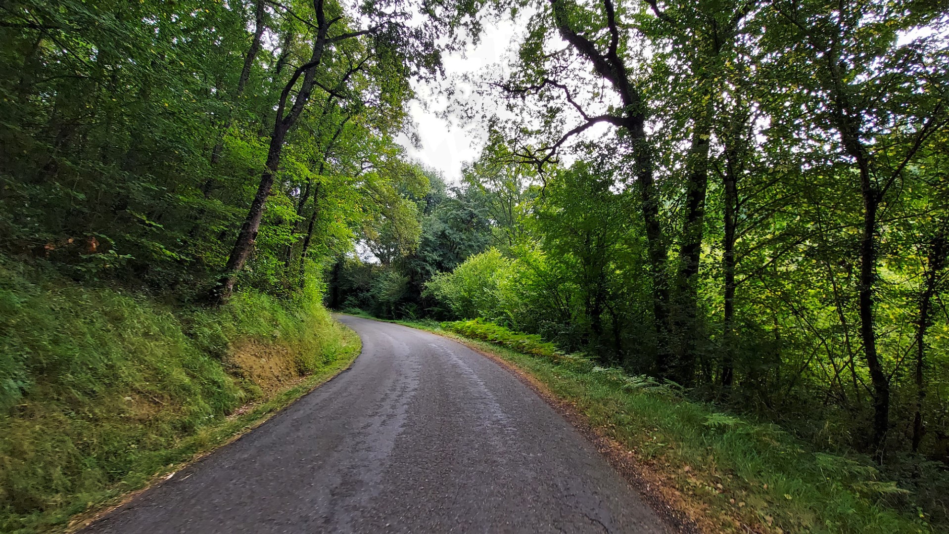 20210908_114245 (Grand)