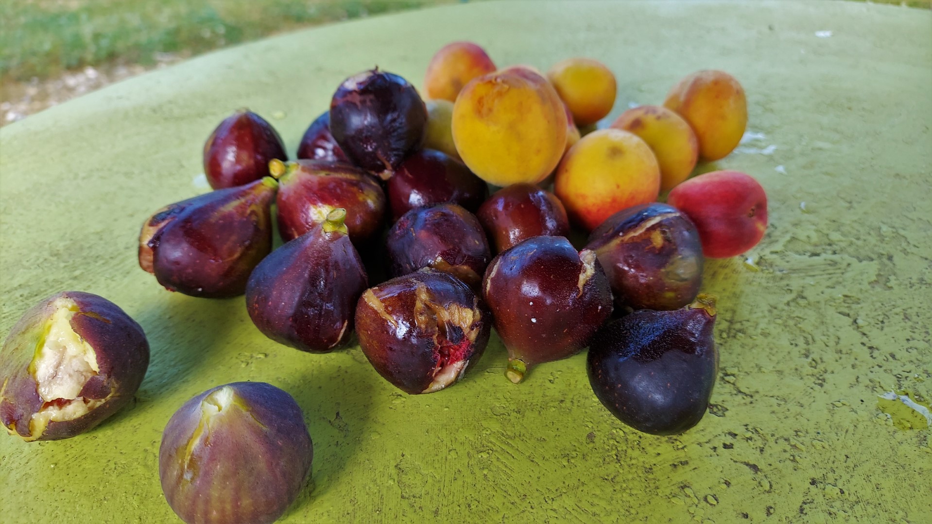 20210908_153059 (Grand)