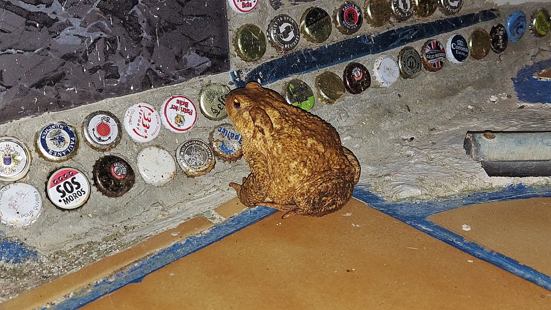 20210908_205449 (Grand)