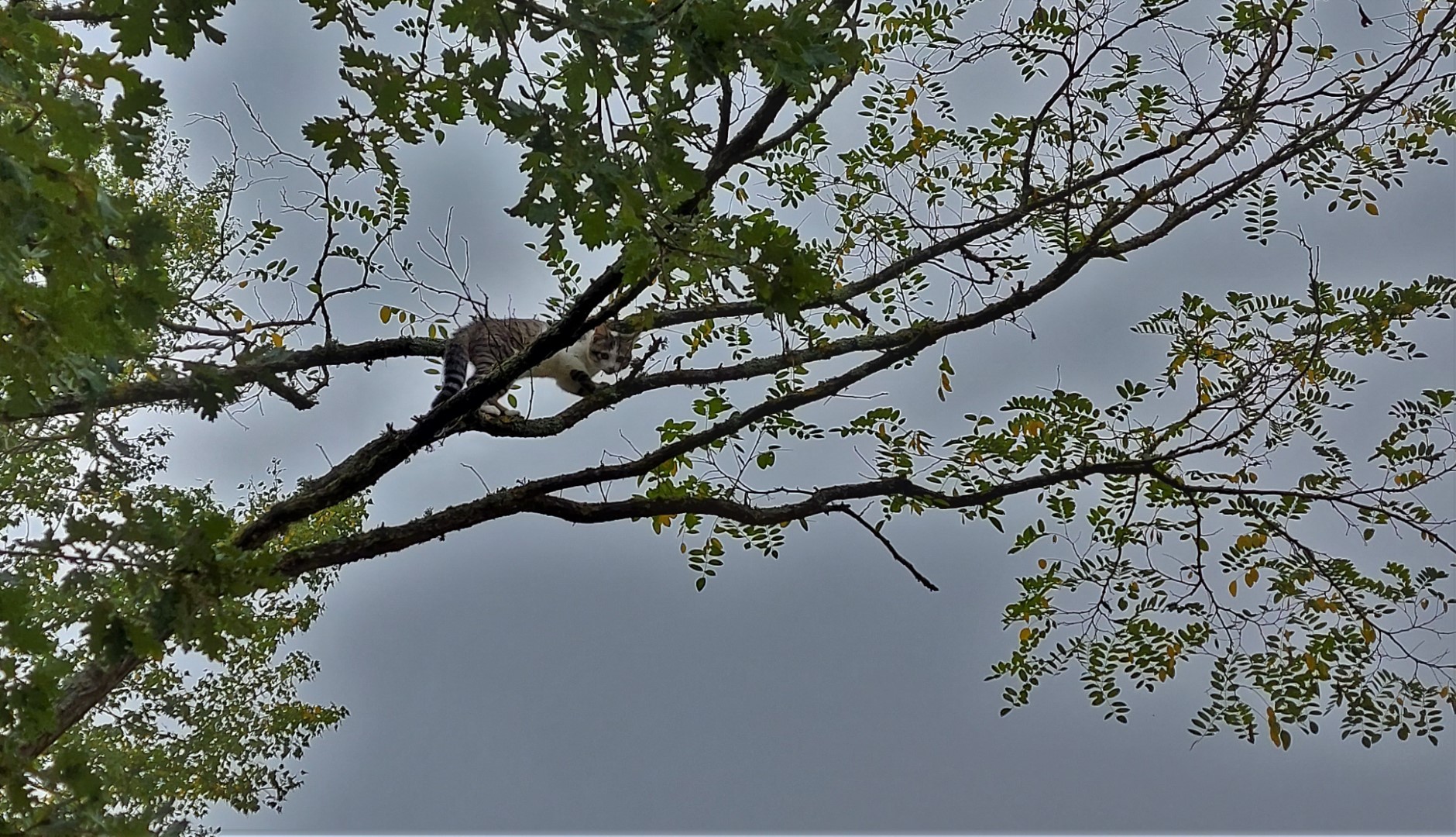 20210909_112759 (Grand)