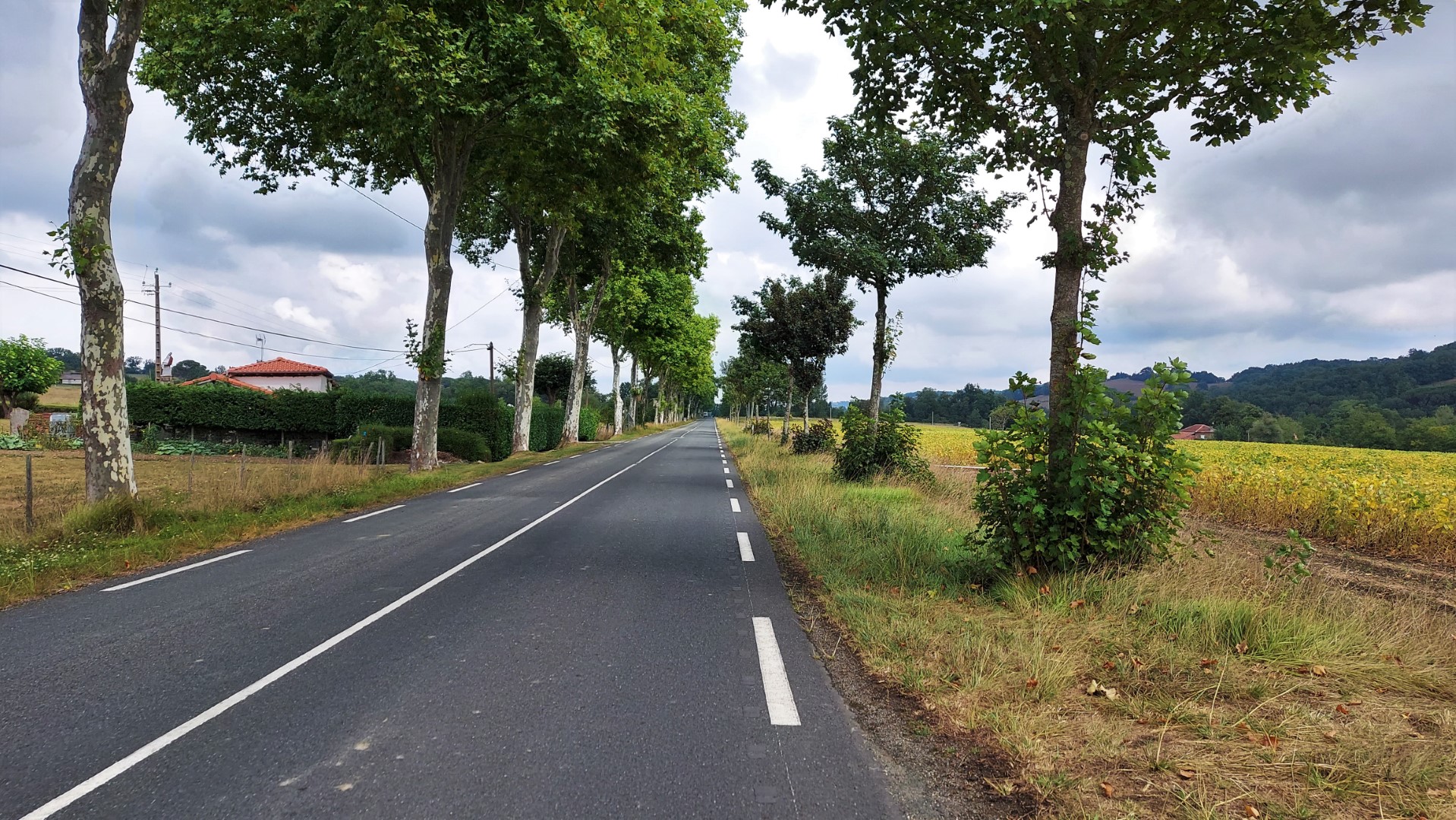 20210909_141900 (Grand)