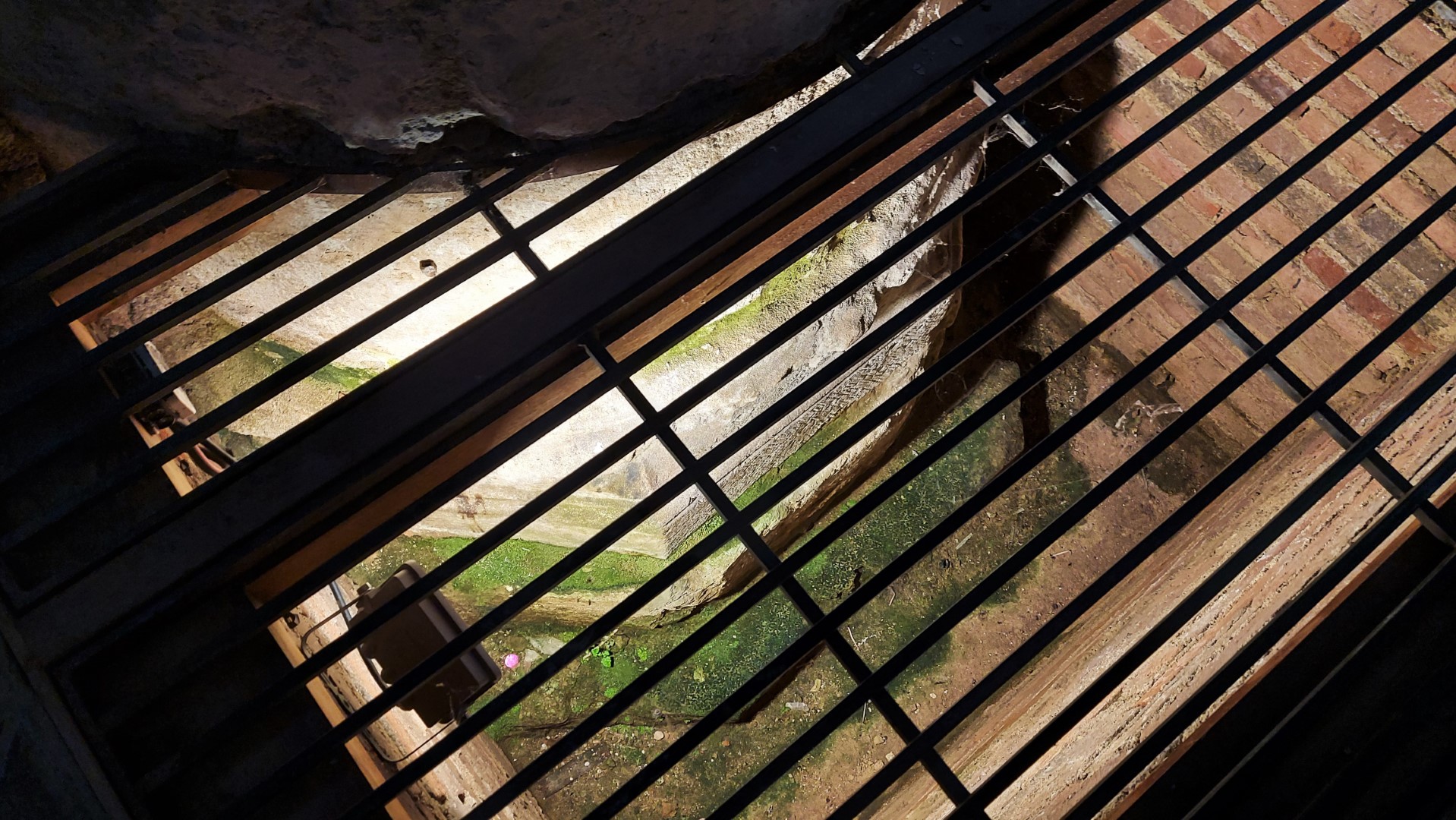 20210909_155306 (Grand)