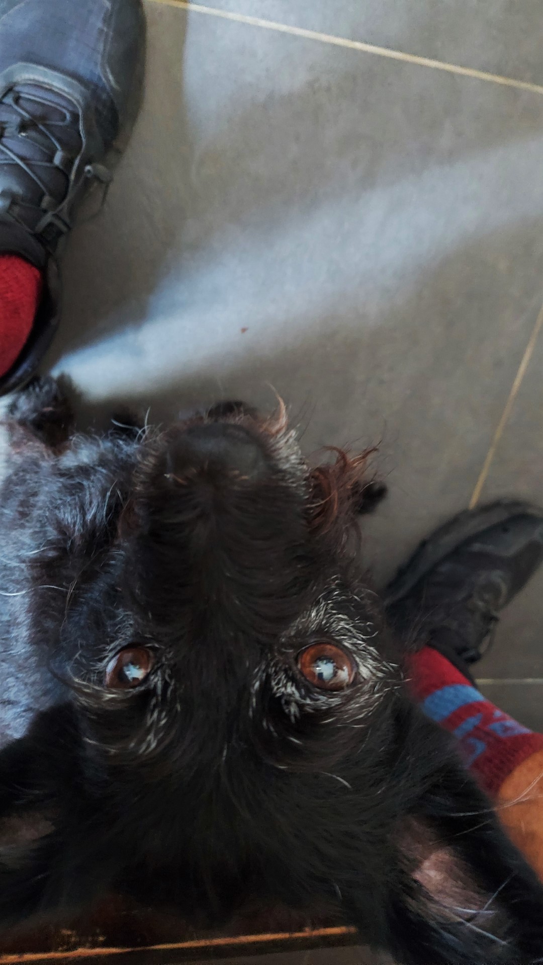 20210910_115129 (Grand)