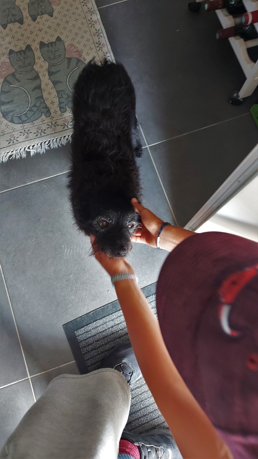 20210910_115148 (Grand)