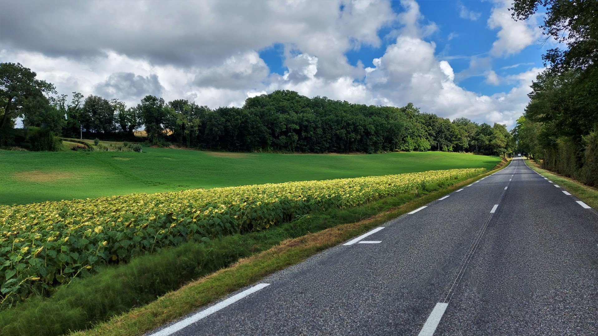 20210910_124646 (Grand)