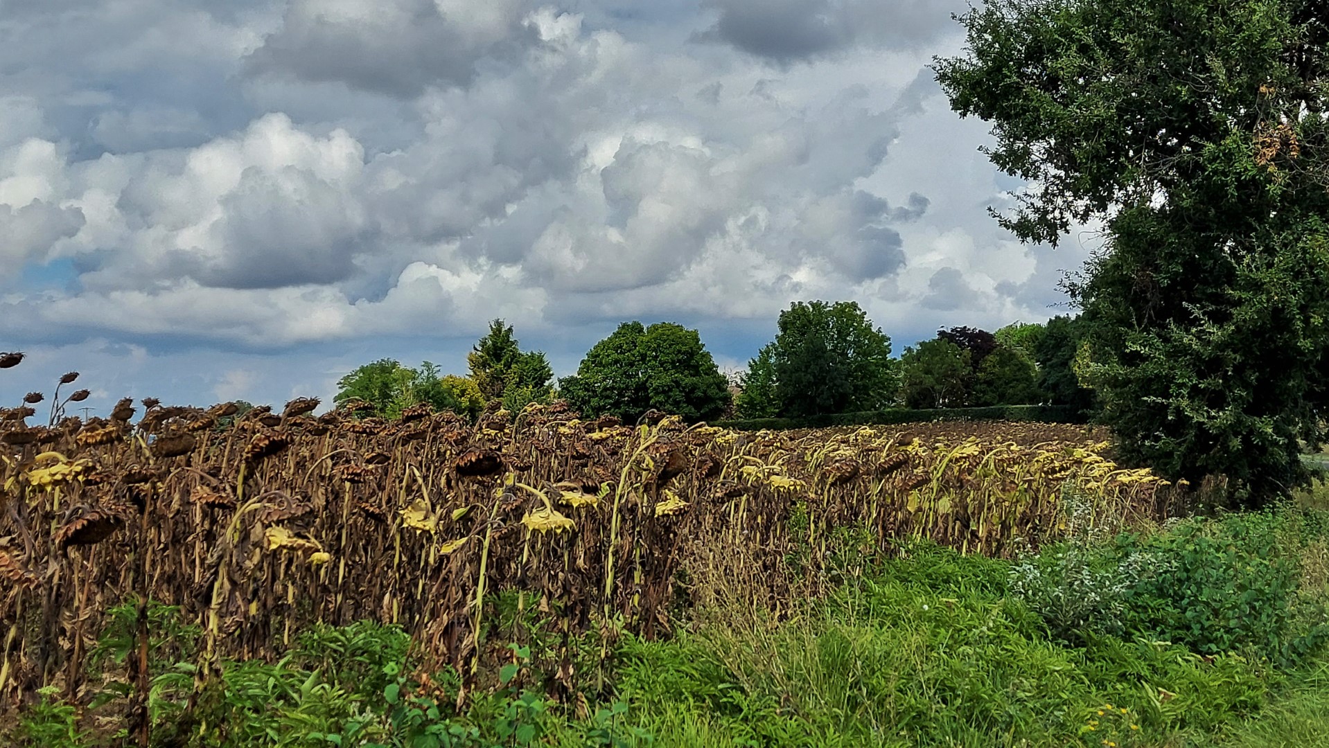 20210910_132819 (Grand)