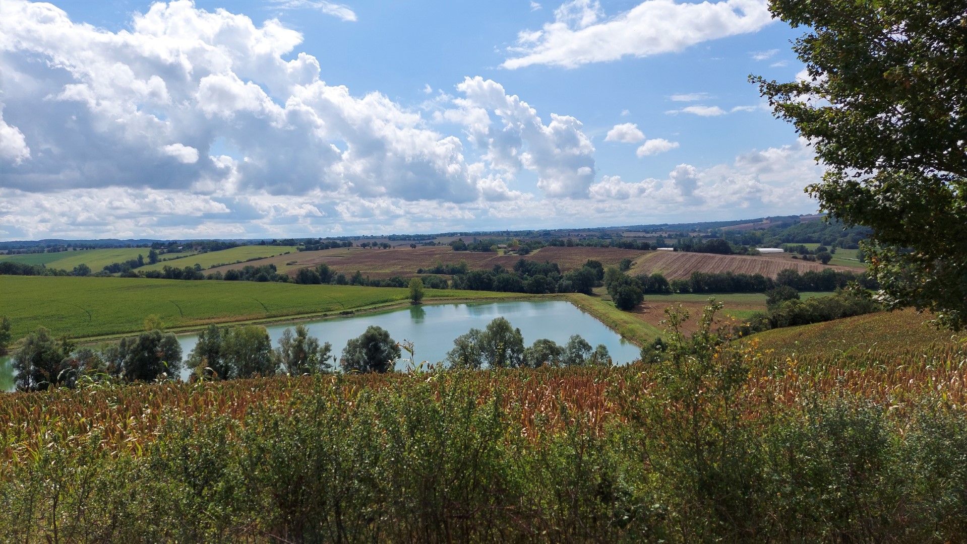 20210910_134831 (Grand)