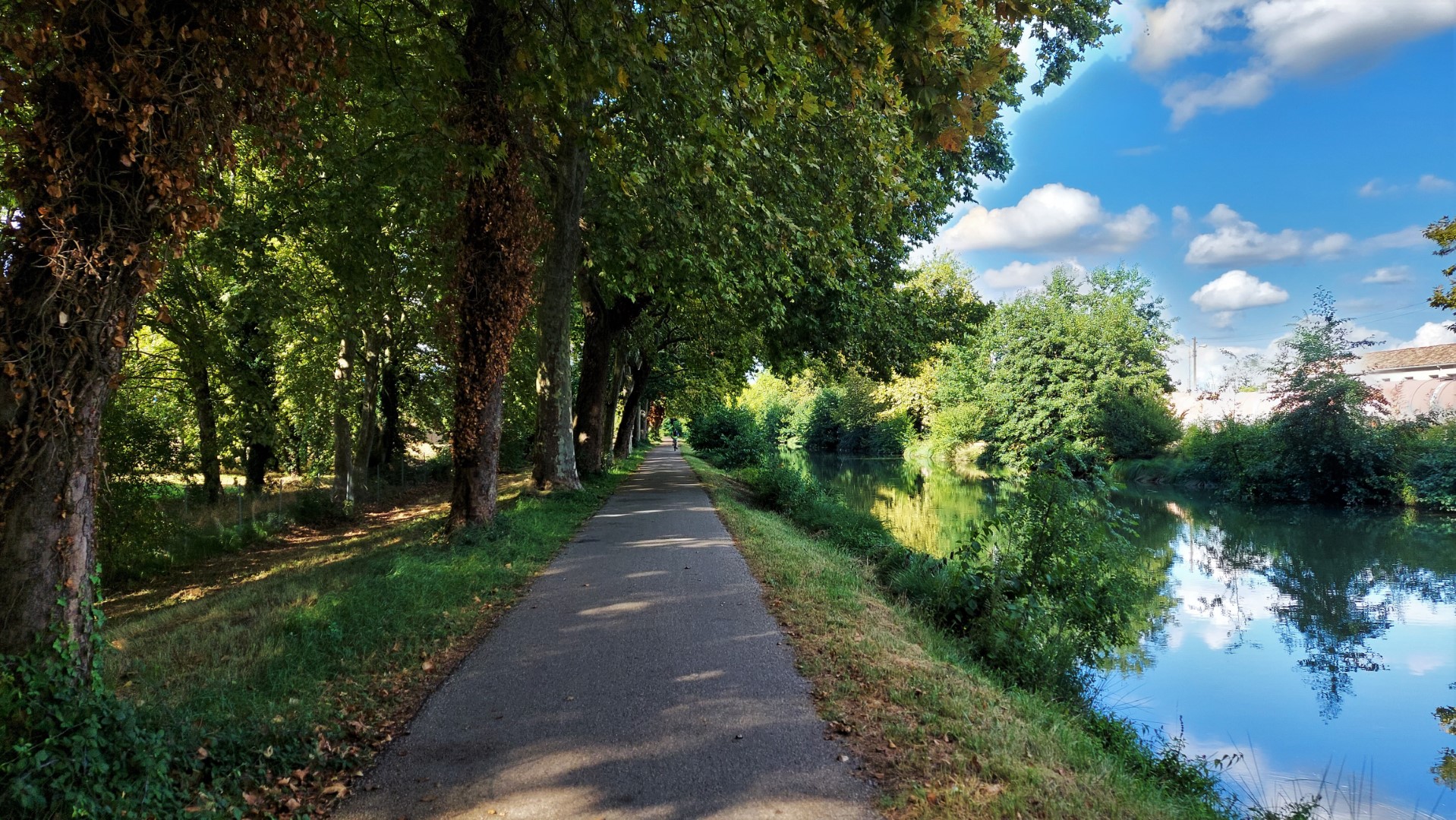 20210910_165247 (Grand)