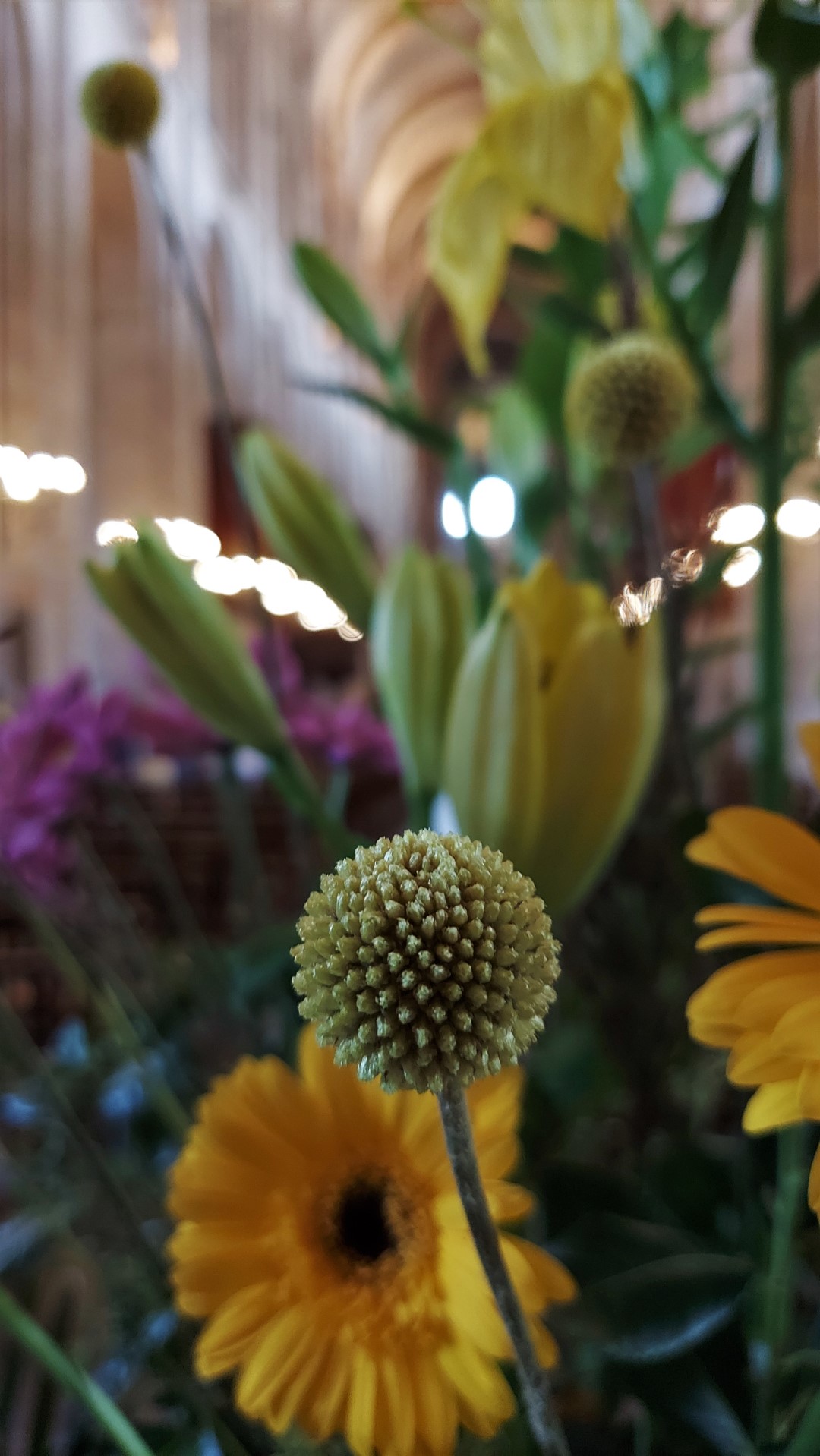 20210911_142144 (Grand)